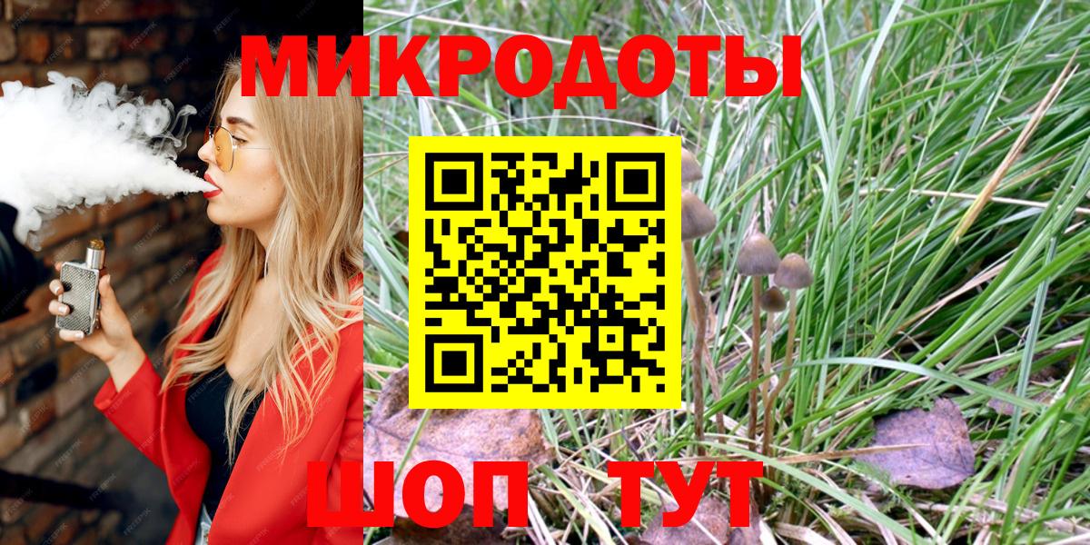 Псилоцибиновые грибы Psilocybe Воткинск